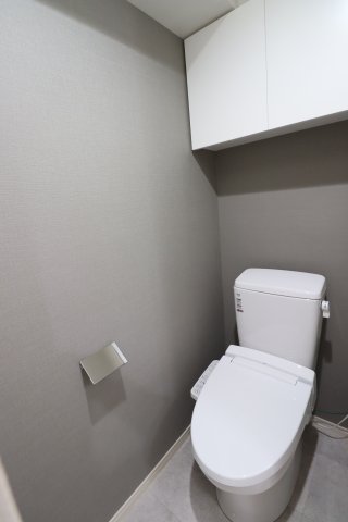 GENOVIA西川口Ⅱ0317号室 トイレ