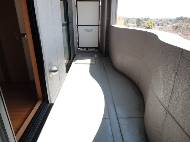 ディア フレンド ＫＯＩＺＵＭＩ206号室 バルコニー