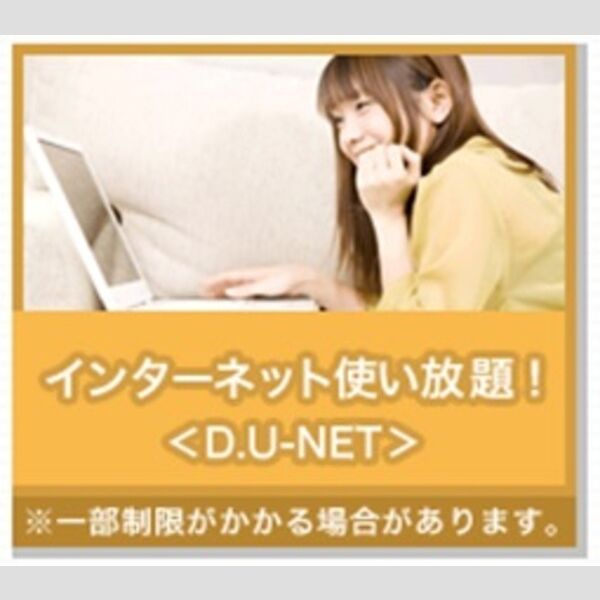 アネシス201号室 インターネット使い放題