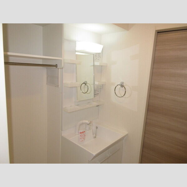 フレシール光が丘203号室 洗面