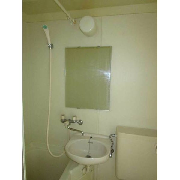 メゾン・ド・パサージュ0503号室 洗面