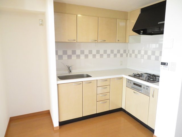 アクトフォルム武蔵小山0301号室 同タイプ参考写真