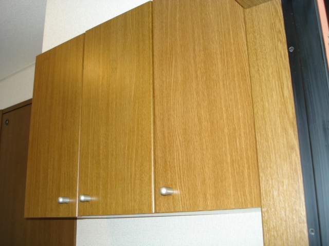 サンフラワー湘南202号室 シューズＢＯＸ