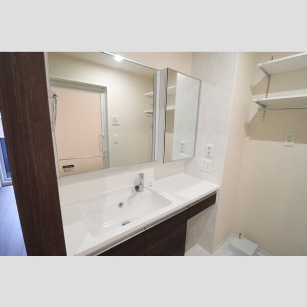 STELLA新松戸205号室 洗髪洗面化粧台