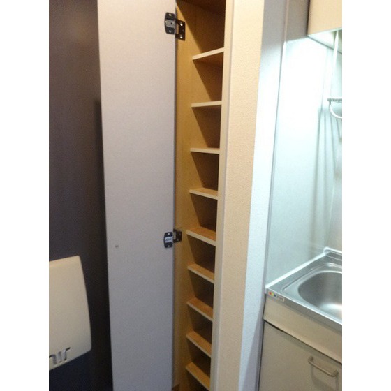 casa de rosa（旧レジデンス田中）0102号室 シューズボックス