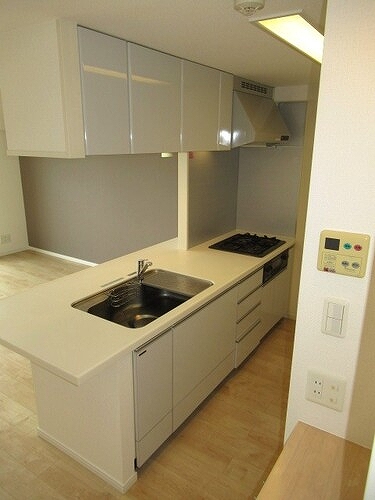 グランド・ガーラ代田橋 システムキッチン