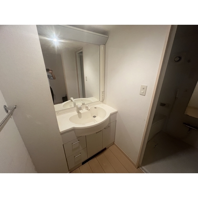 井の頭マンション シャンプードレッサー