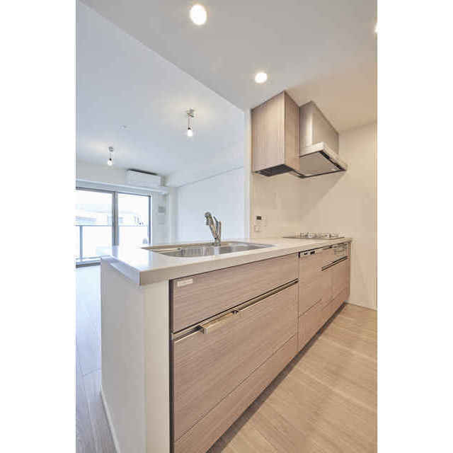 Brillia 宮前平　Hillside415号室 内観