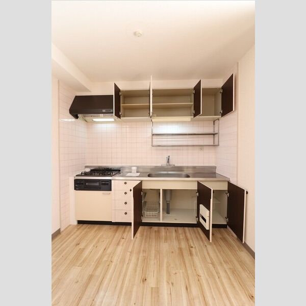 パークス　Ⅰ202号室 ★システムキッチン(収納)★