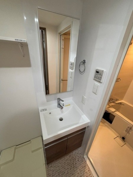 Ｔｈｅ　Ｓｈｉｎａｇａｗａ　Ｅａｓｔ　Ｒｅｓｉｄｅｎｃｅ3階 洗面