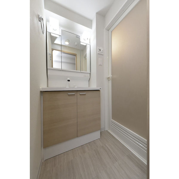 クリオ　ラモード学芸大学Ⅱ0103号室 洗面