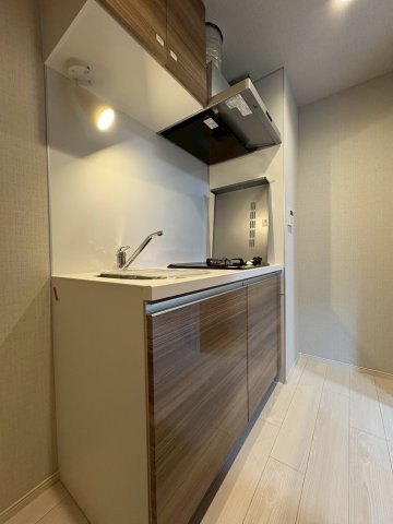 DIPS西新井101号室 キッチン