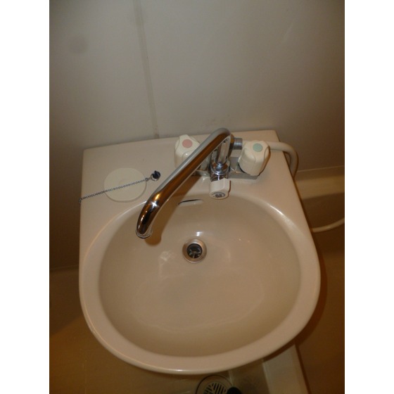 トランタンビュー東駒形0302号室 浴室洗面ボール！