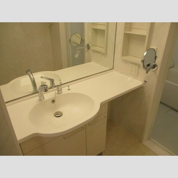 マノワール　ブリーズ(manoir brise)　A棟101号室 洗髪洗面化粧台