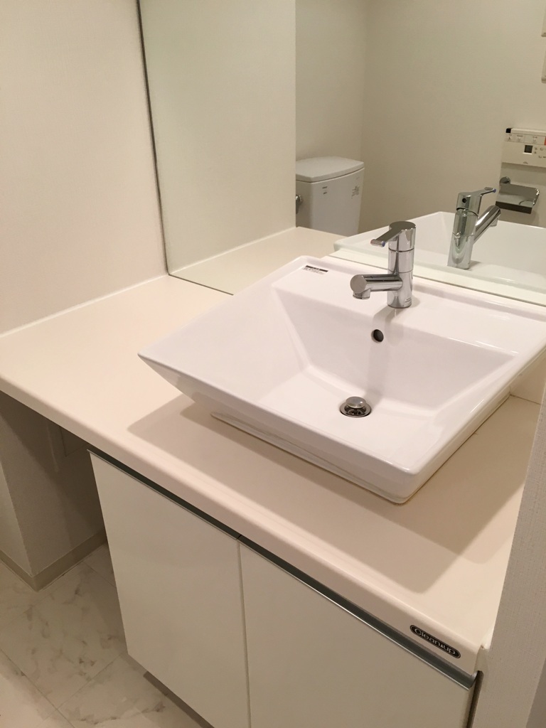 プライムアーバン用賀Ⅱ213号室 洗面