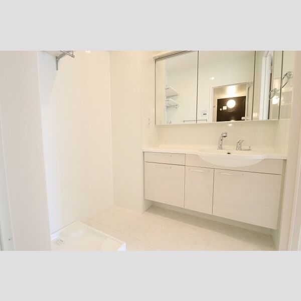 フレシール 洗髪洗面化粧台