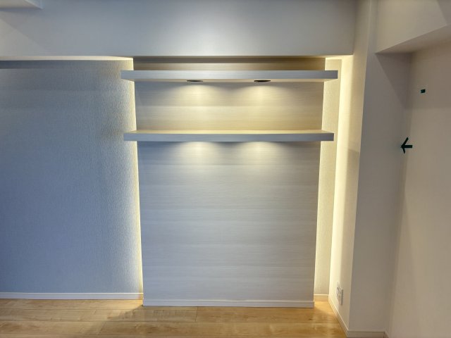 白金台グロリアハイツ　１１０３号室 収納