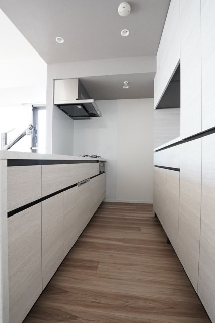 ＨＡＲＵＭＩ　ＦＬＡＧ　ＰＡＲＫ　ＶＩＬＬＡＧＥ　Ｂ棟16階 キッチン