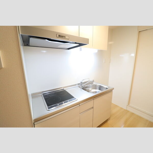 第8グリーンハイツ205号室 システムキッチン
