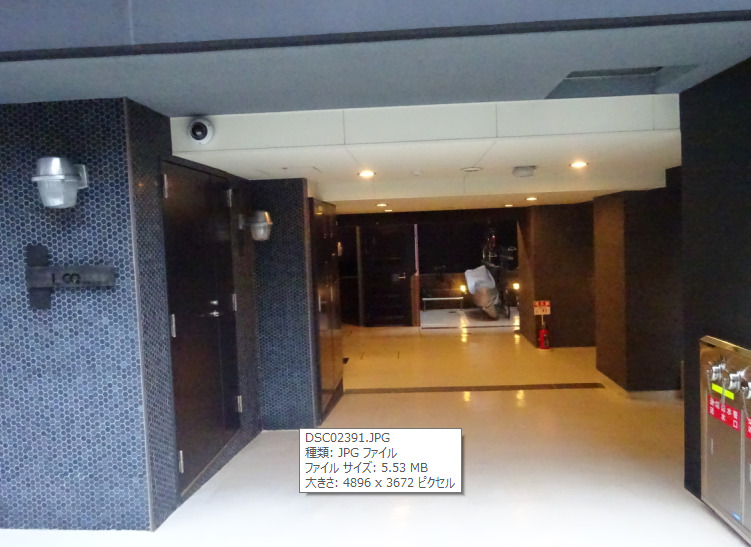 Log文京SENDAGI／ログ文京千駄木801号室 ログ文京千駄木