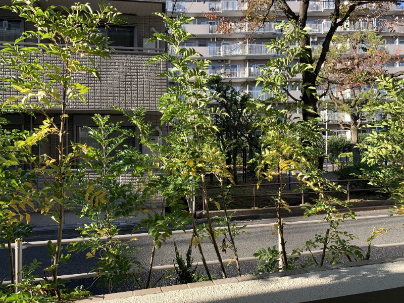 リヴシティ成増ミュジオ弐番館1階 同仕様