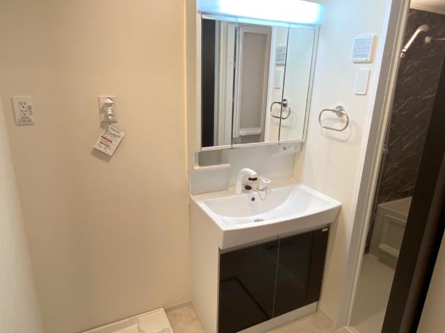 エクセレント 洗髪洗面化粧台