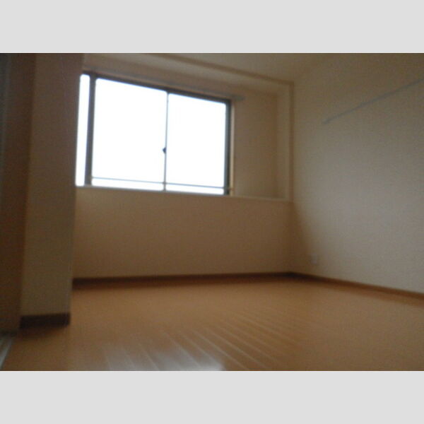 ブリランテ314号室 洋室