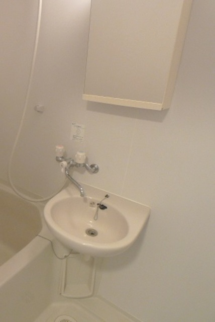 サンイング西船Ⅱ0101号室 洗面