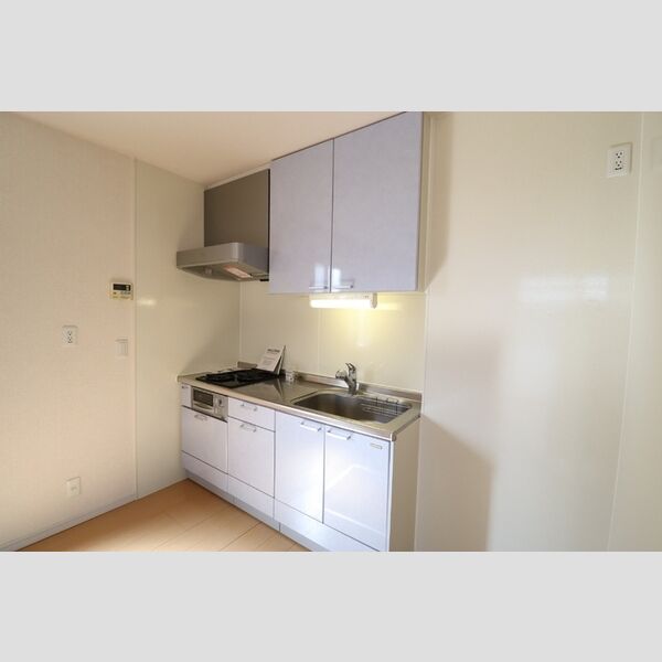 リビングタウン登戸106号室 システムキッチン