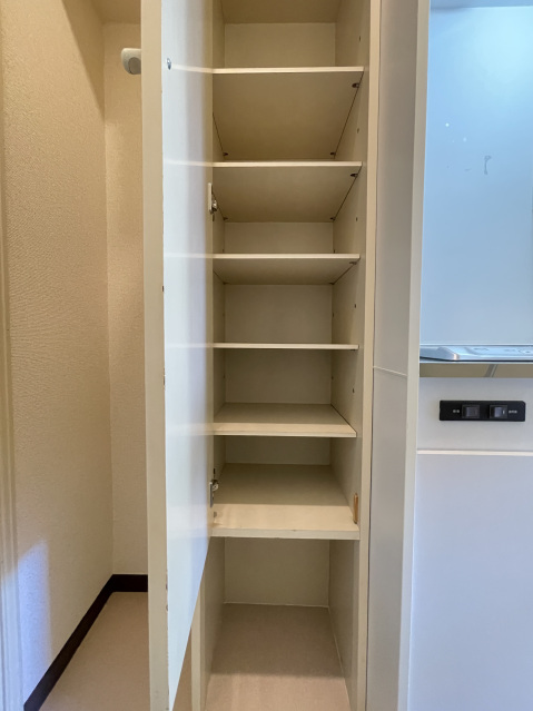 スカイピア阿佐ケ谷202号室 収納