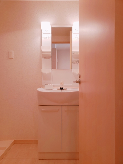 ＬＭフラット0202号室 洗面