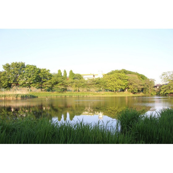 スカイピア浦和 周辺