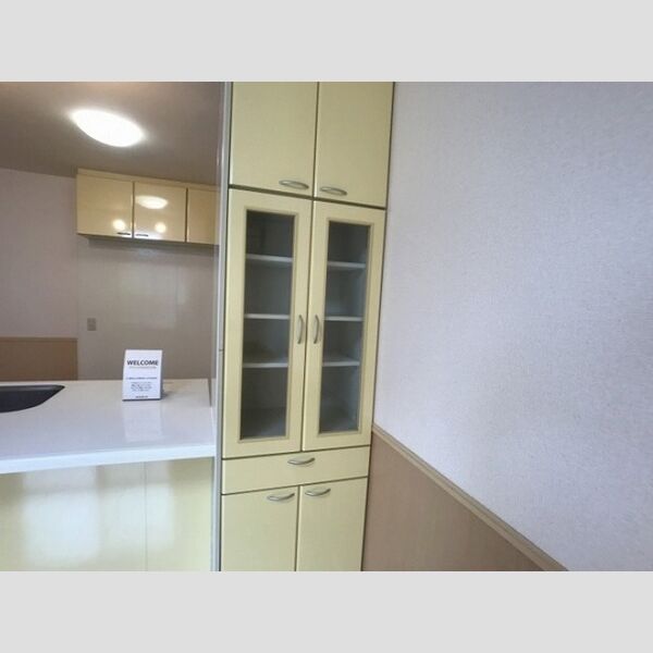 フレシール　C102号室 備え付け食器棚