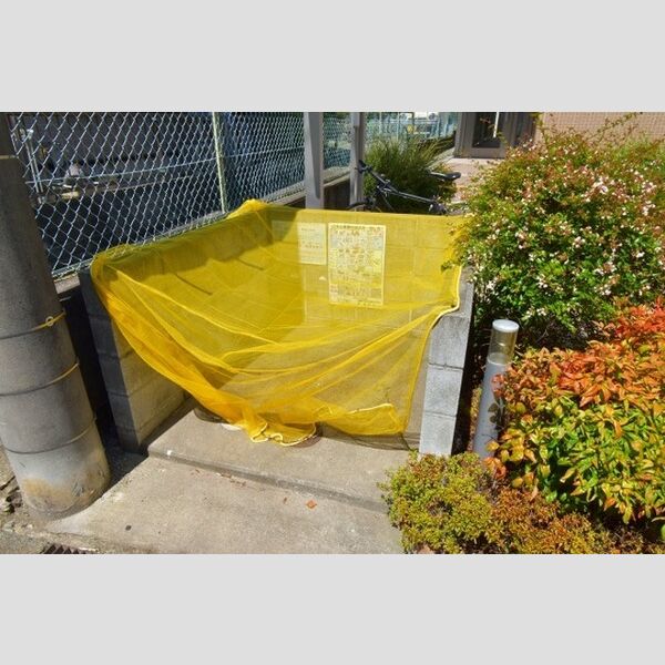 フェリーチェ 桜 ゴミ置き場