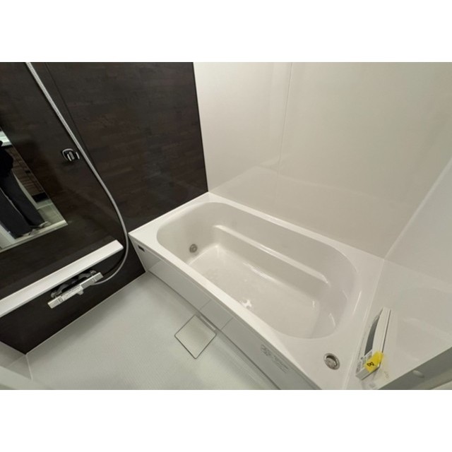 ACP Residence 錦糸町0204号室 お風呂