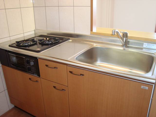 エルマルム00205号室 システムキッチン