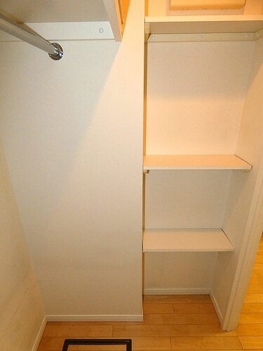 ライオンズステーションプラザ溝の口セントラルアベニュー 内装前ウォークインクロゼット