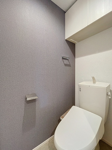 アイル グランデ川口209号室 トイレ