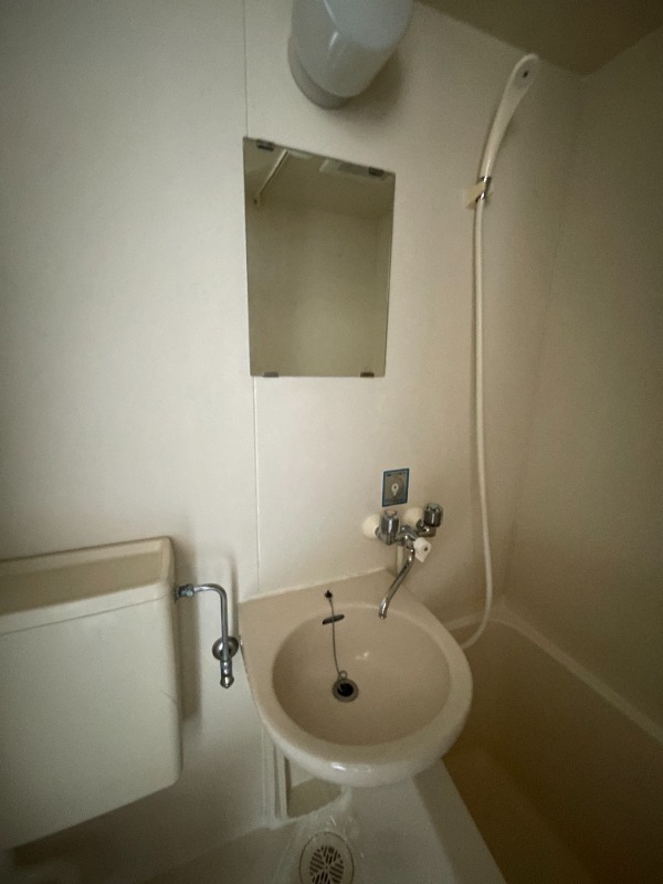 ルピナス4階 洗面