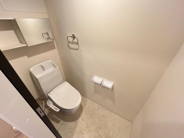 アジュール207号室 トイレ