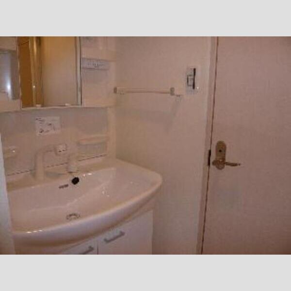 ラ・ファウンテン 202 洗面所