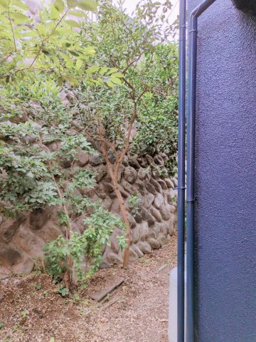 桜台ネイビーハウス 庭