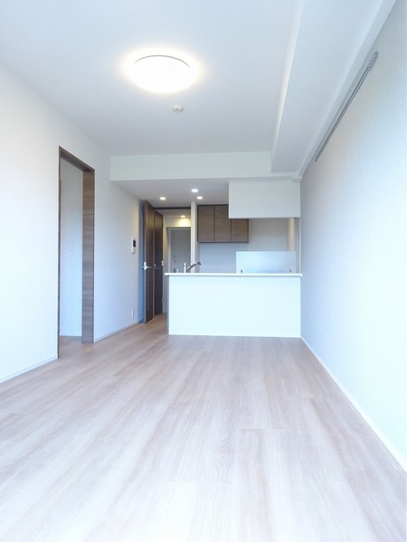 ラフィスタ蒲田南Ⅱ202号室 リビング