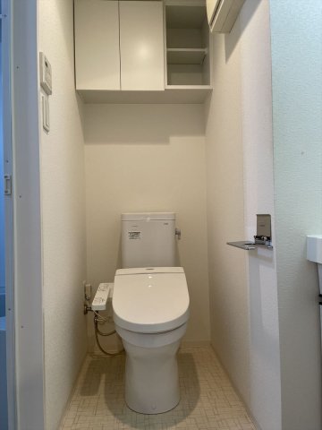 DIPS大山東町801号室 トイレ