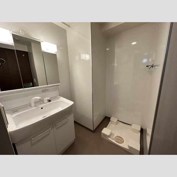 サンピタリア東船橋102号室 洗面所
