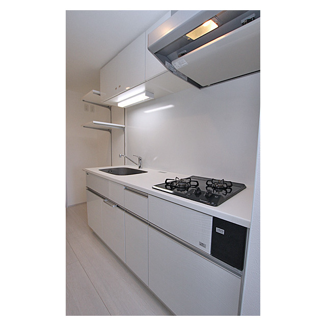 B CITY APARTMENT ITABASHI NORT0401号室 キッチン