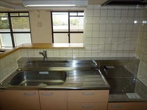 ホワイトヘイヴン0202号室 キッチン