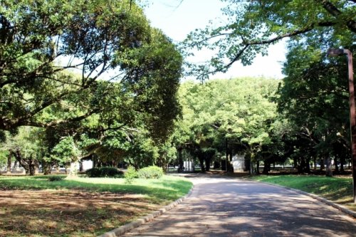 アスタルテ上原4階 【公園】代々木公園まで1410ｍ