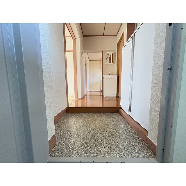 ラビアン花小金井301号室 玄関