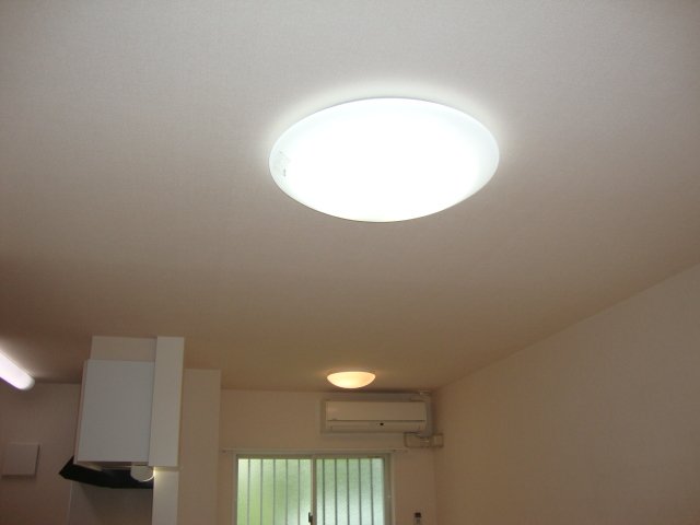 ラ・ジヴェルニー102号室 居室照明